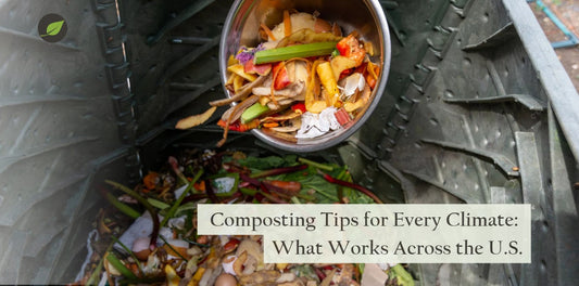 Composting Tips for Every Climate: What Works Across the U.S.