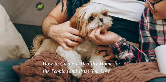 How to Create a Healthy Home for the People (and Pets) You Love