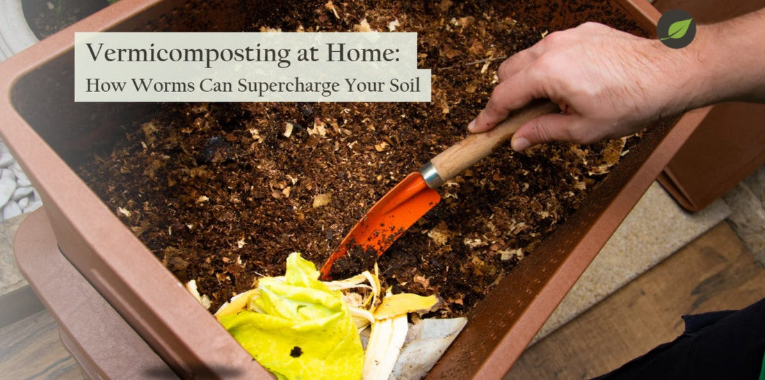 Vermicomposting at Home: How Worms Can Supercharge Your Soil